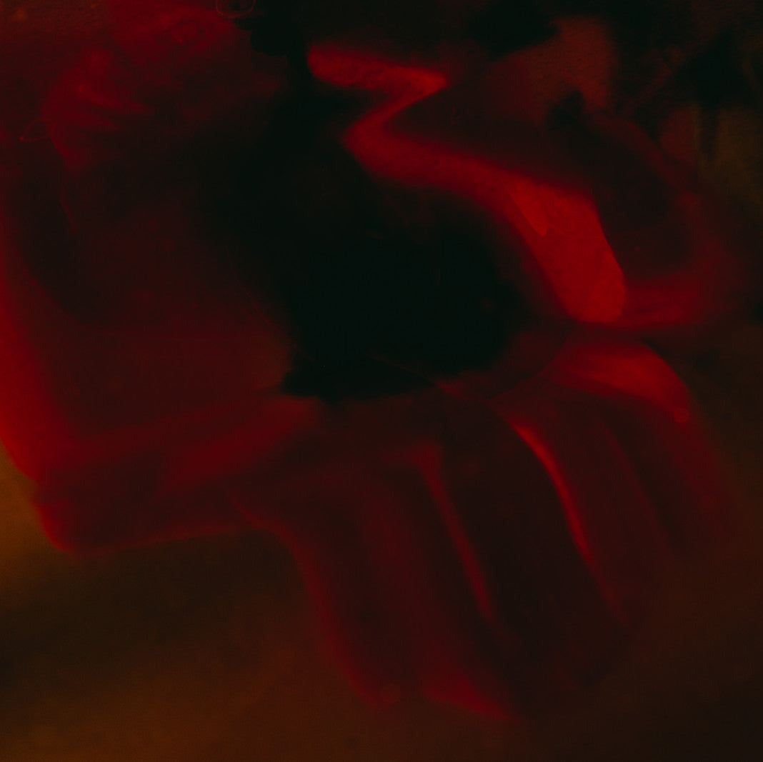 Abstract close-up of red and orange translucent material with dark shadowing, resembling draped fabric or soft material folds.